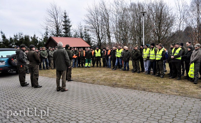 (Nie)obliczalni mieszkańcy lasu zdjęcie nr 123362