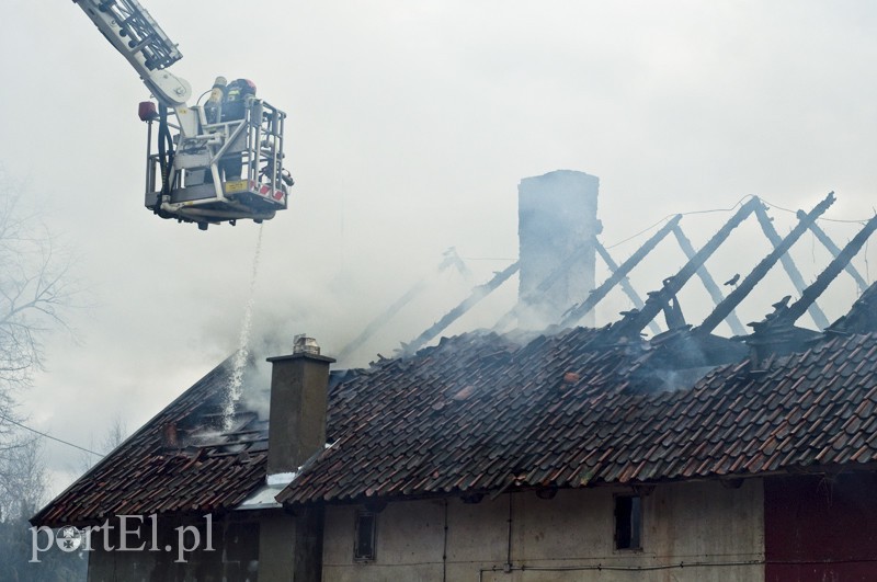  Mieszkańcy skakali przez okno. Pożar pod Pasłękiem zdjęcie nr 124498