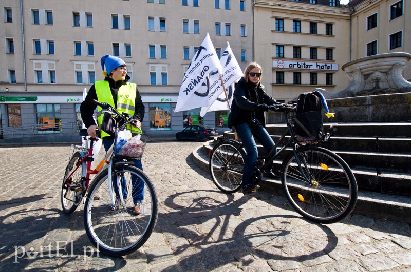 KOD popedałował po podpisy zdjęcie nr 124572