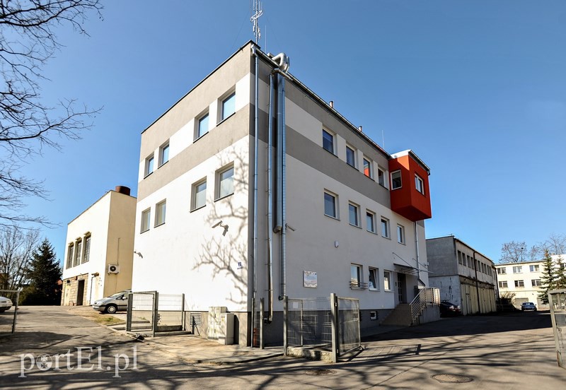 Elbląski wielki brat potężniejszy zdjęcie nr 125384