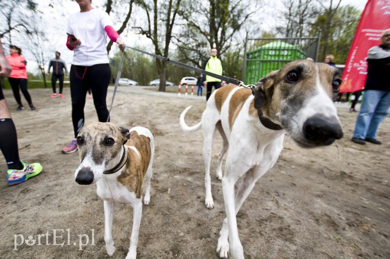 Piątka dla każdego w Bażantarni zdjęcie nr 125809