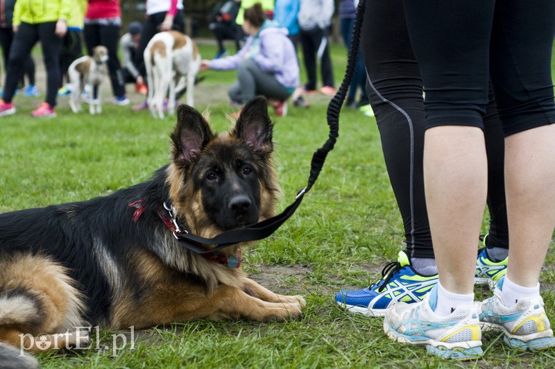 Piątka dla każdego w Bażantarni zdjęcie nr 125816