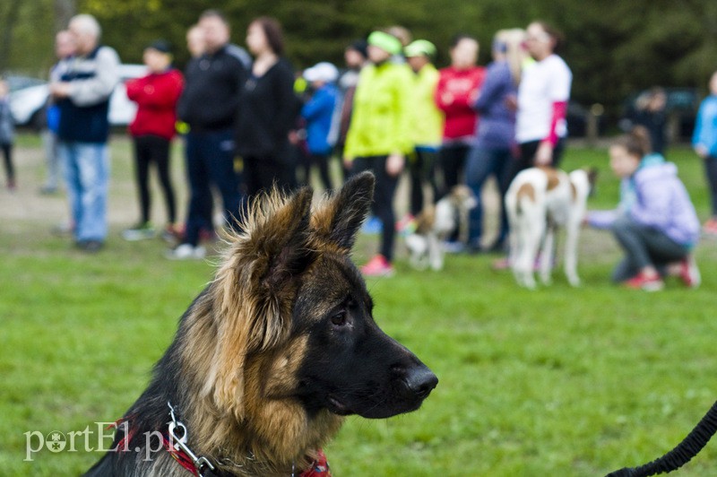 Piątka dla każdego w Bażantarni zdjęcie nr 125817