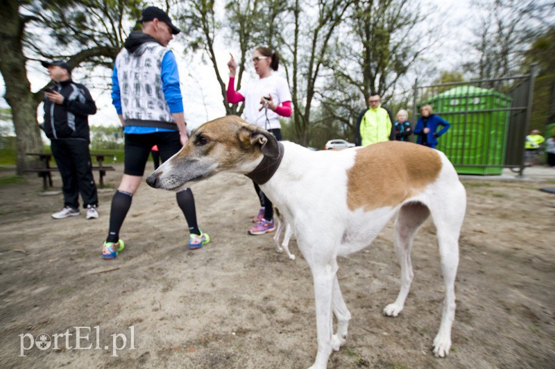 Piątka dla każdego w Bażantarni zdjęcie nr 125810