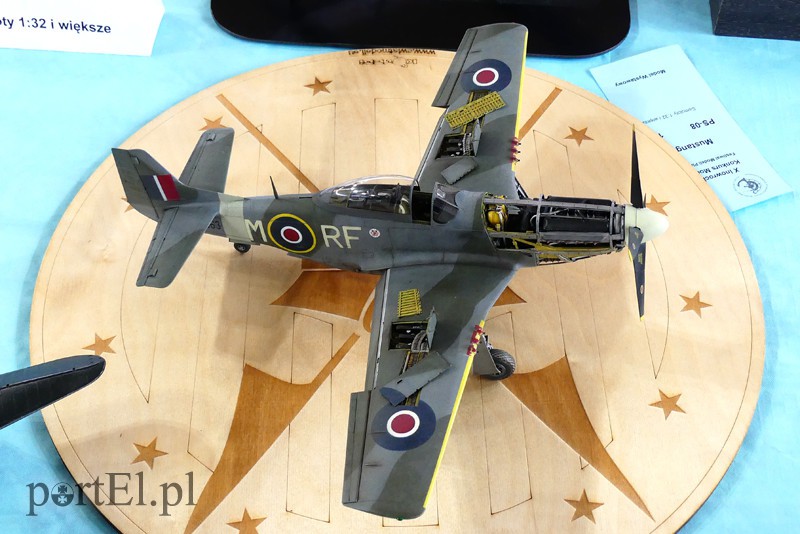 Cierpliwość nagrodzona, czyli modelarze z medalami zdjęcie nr 126243