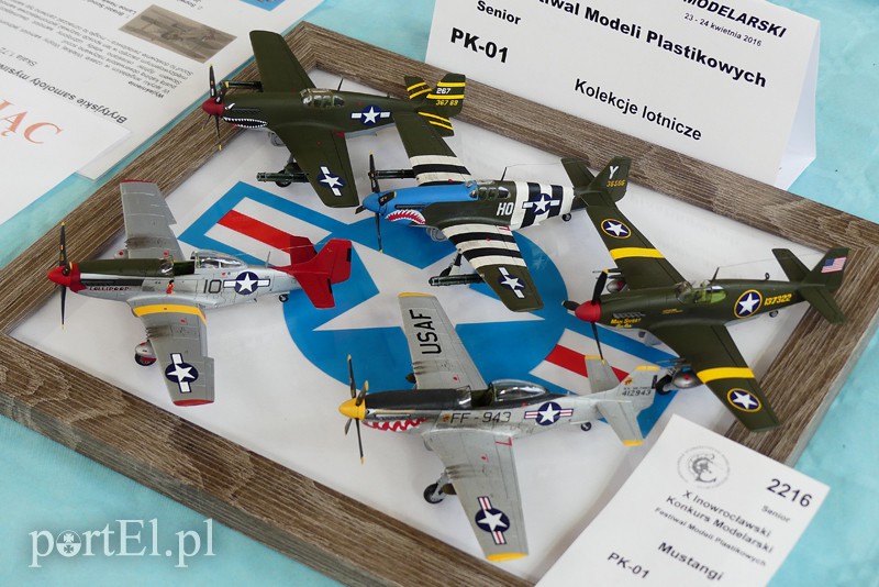 Cierpliwość nagrodzona, czyli modelarze z medalami zdjęcie nr 126259