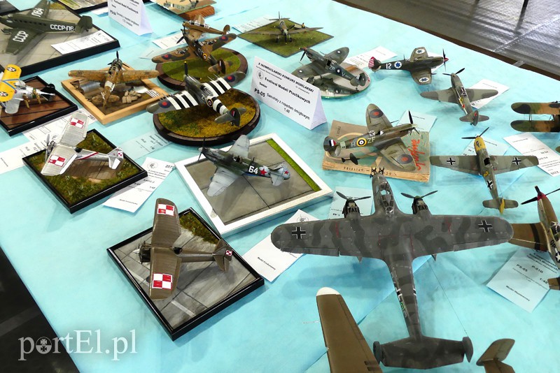 Cierpliwość nagrodzona, czyli modelarze z medalami zdjęcie nr 126245