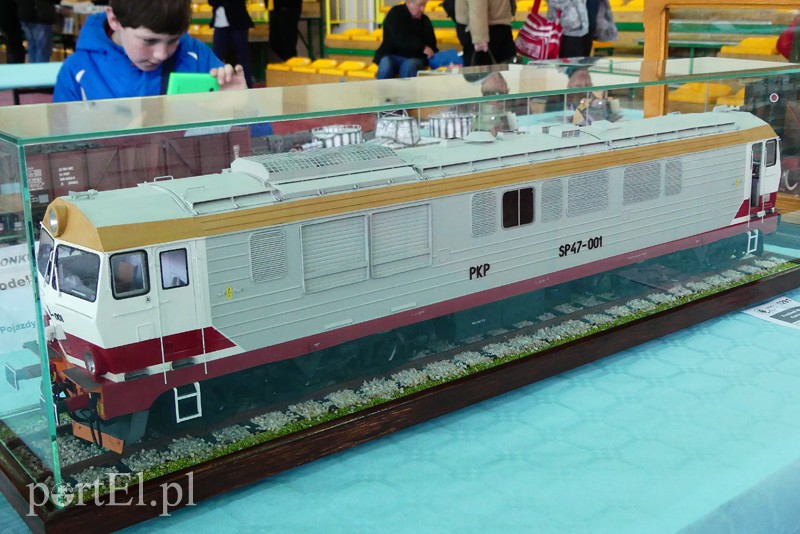 Cierpliwość nagrodzona, czyli modelarze z medalami zdjęcie nr 126230