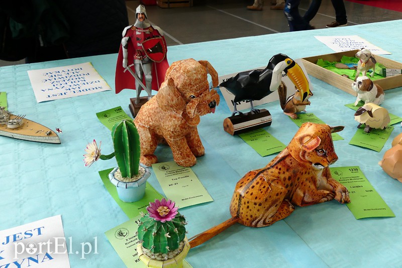 Cierpliwość nagrodzona, czyli modelarze z medalami zdjęcie nr 126256