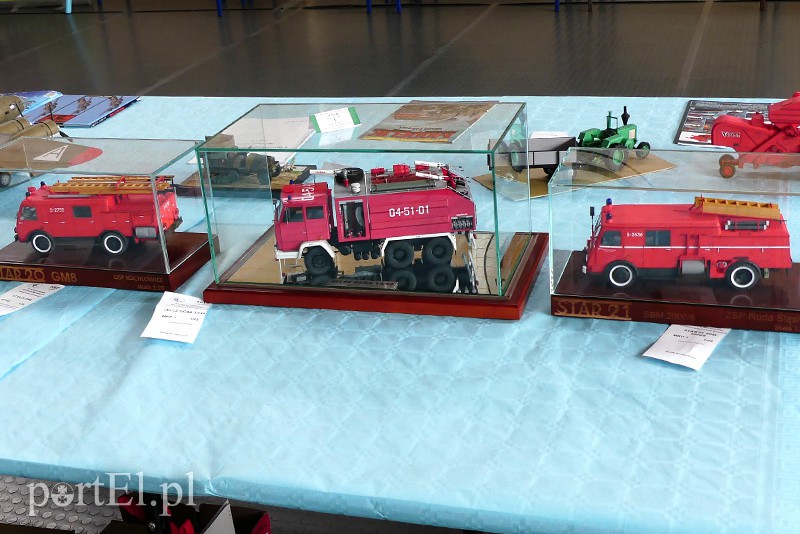 Cierpliwość nagrodzona, czyli modelarze z medalami zdjęcie nr 126224