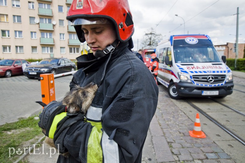  Pożar w mieszkaniu na Królewieckiej zdjęcie nr 126288
