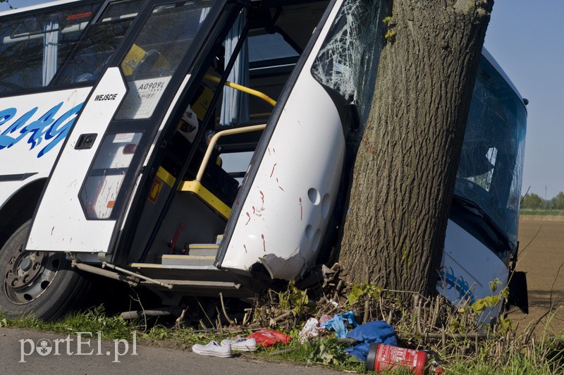  Autobus uderzył w drzewo. Są ranni zdjęcie nr 126893