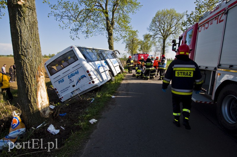  Autobus uderzył w drzewo. Są ranni zdjęcie nr 126882