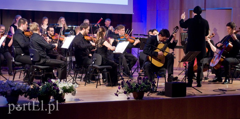 Niech brzmią gitary struny... zdjęcie nr 127532