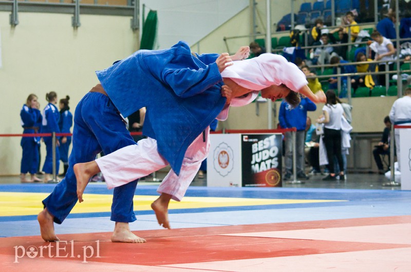  Judo w kolorze srebra i brązu zdjęcie nr 127714