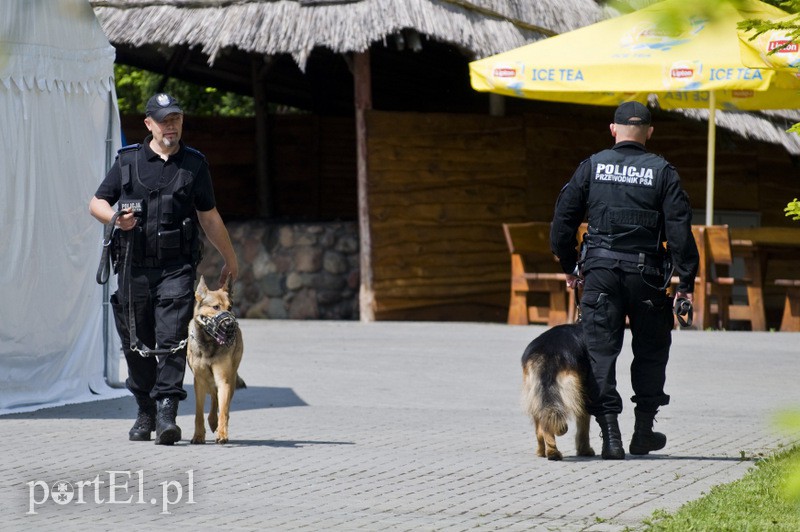 Wyszczekane i agresywne. I o to chodzi zdjęcie nr 128058