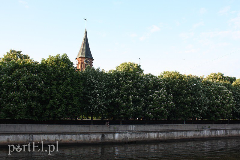 Obwód kaliningradzki w obiektywie zdjęcie nr 128569