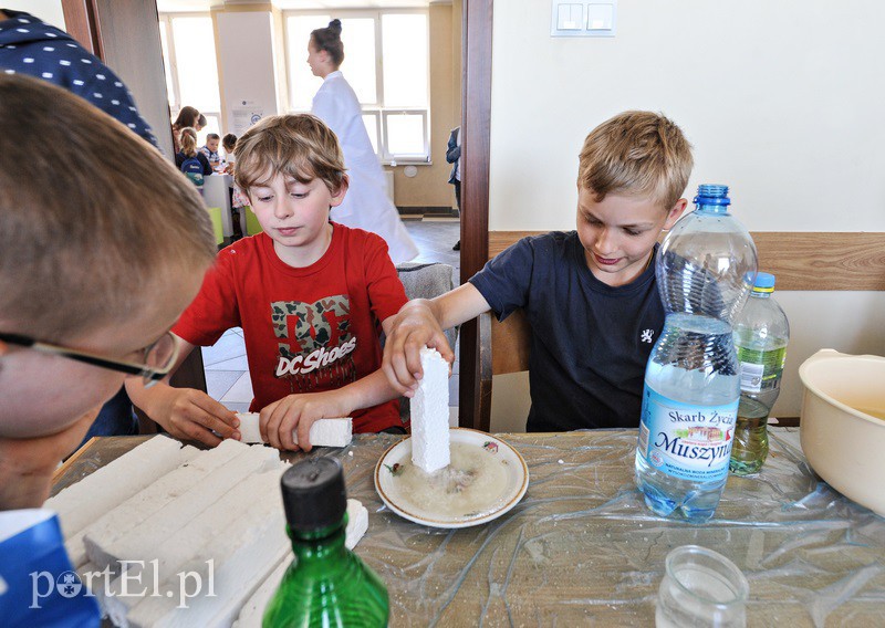 Nauka nie musi byc nudna zdjęcie nr 129771