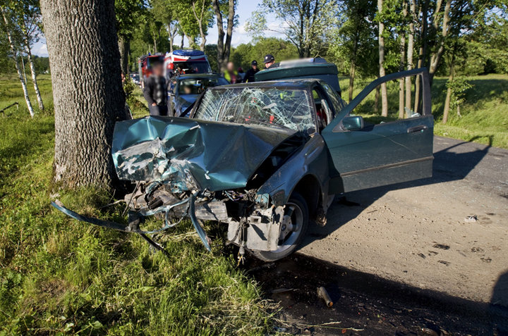  Bmw uderzyło w drzewo, kierowca w szpitalu zdjęcie nr 129985