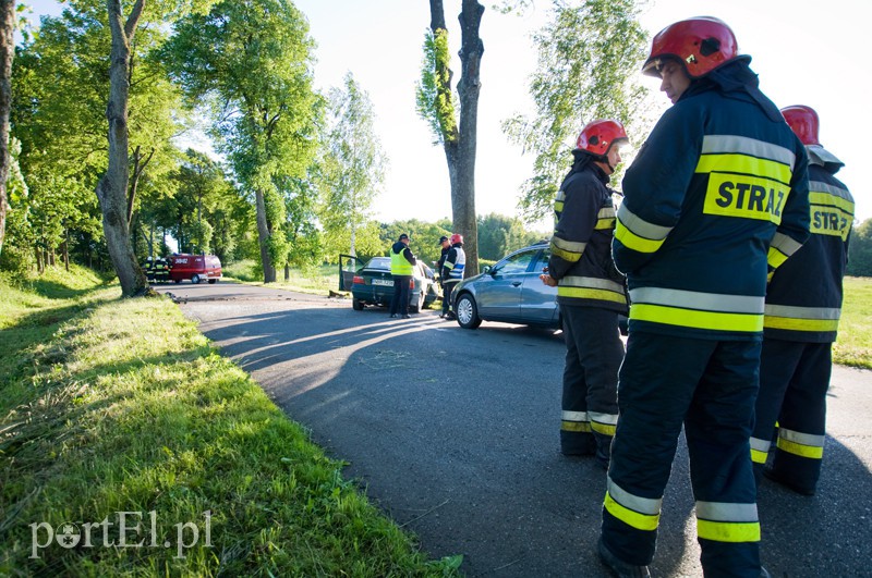  Bmw uderzyło w drzewo, kierowca w szpitalu zdjęcie nr 129992