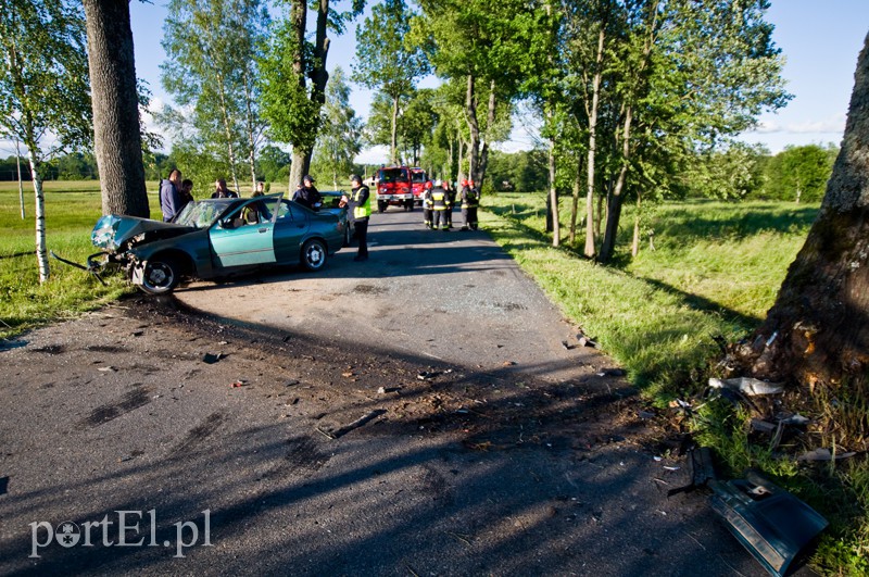  Bmw uderzyło w drzewo, kierowca w szpitalu zdjęcie nr 129988