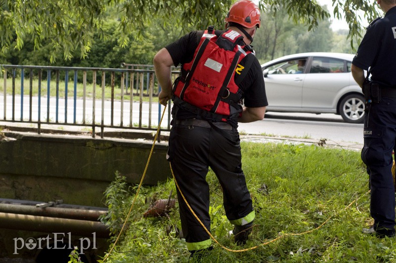  Utonęła podczas ulewy zdjęcie nr 130492