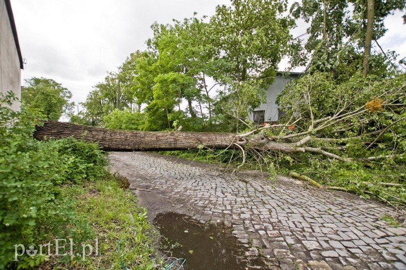  Wichura dała się we znaki zdjęcie nr 130584