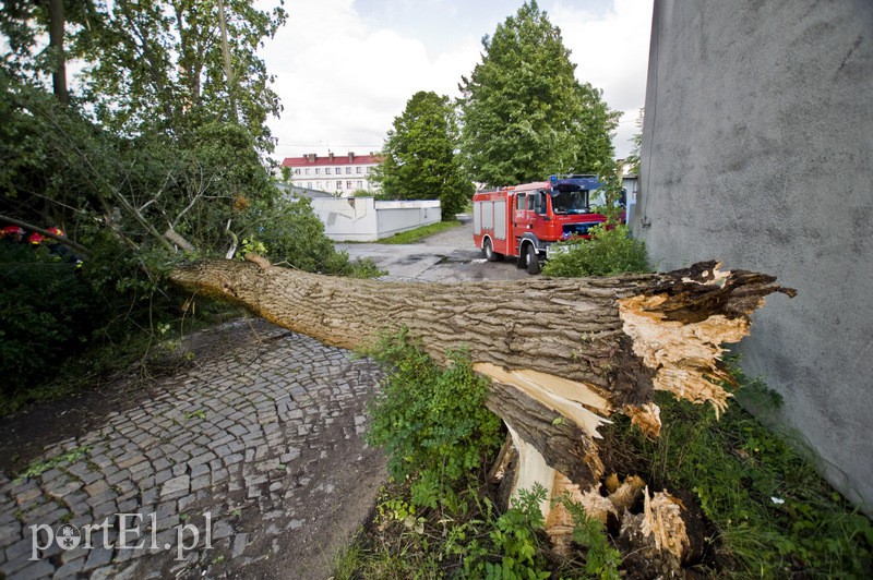  Wichura dała się we znaki zdjęcie nr 130580