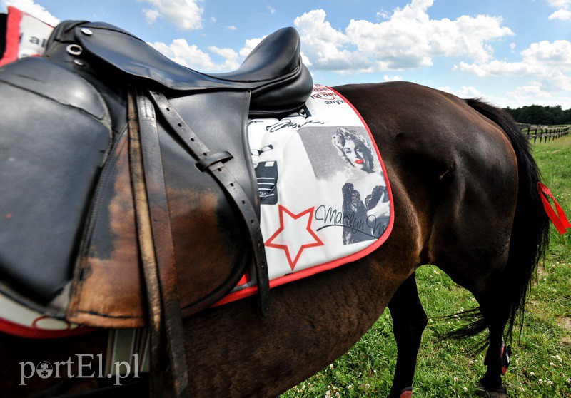 Piastowiada na medal zdjęcie nr 130707