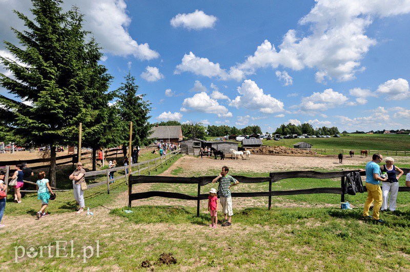 Piastowiada na medal zdjęcie nr 130706