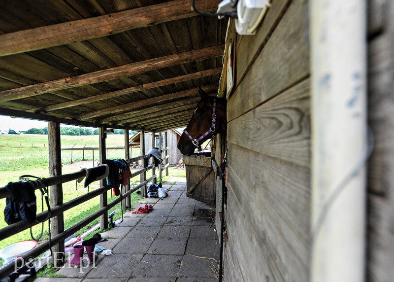 Piastowiada na medal zdjęcie nr 130714