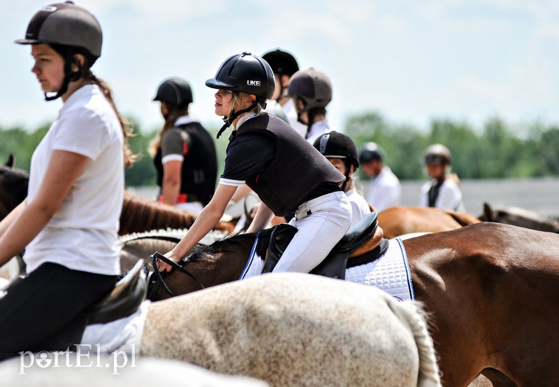 Piastowiada na medal zdjęcie nr 130700