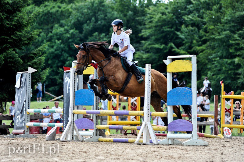 Piastowiada na medal zdjęcie nr 130716