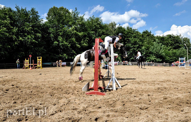 Piastowiada na medal zdjęcie nr 130719