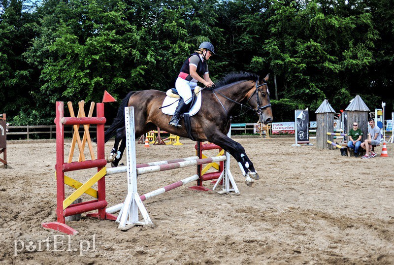 Piastowiada na medal zdjęcie nr 130720