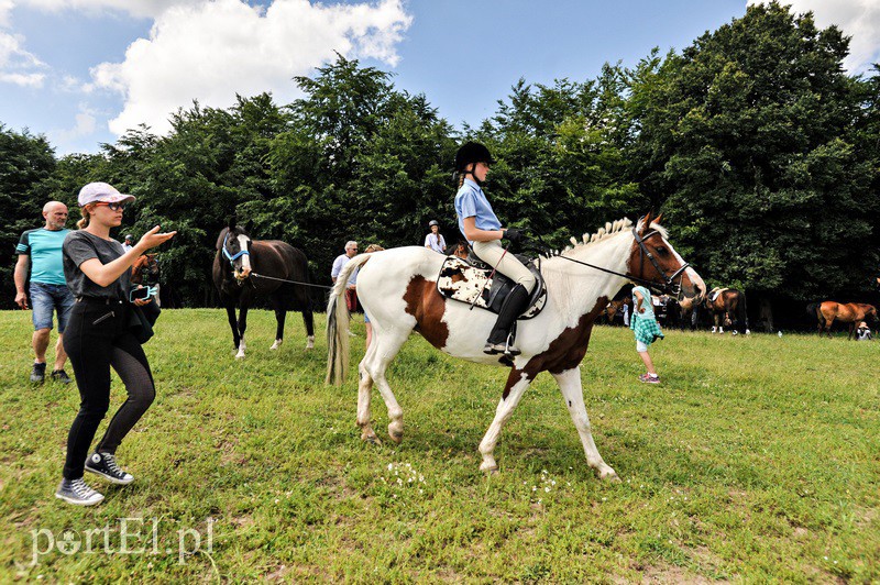 Piastowiada na medal zdjęcie nr 130705