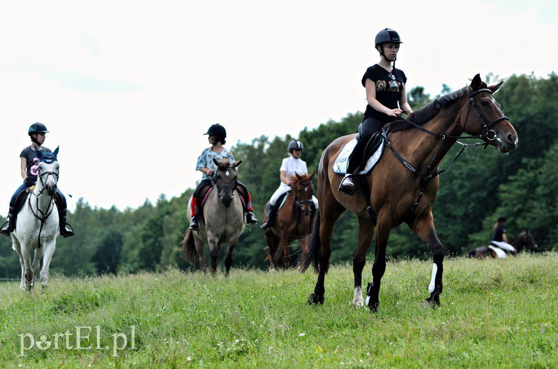 Piastowiada na medal zdjęcie nr 130712