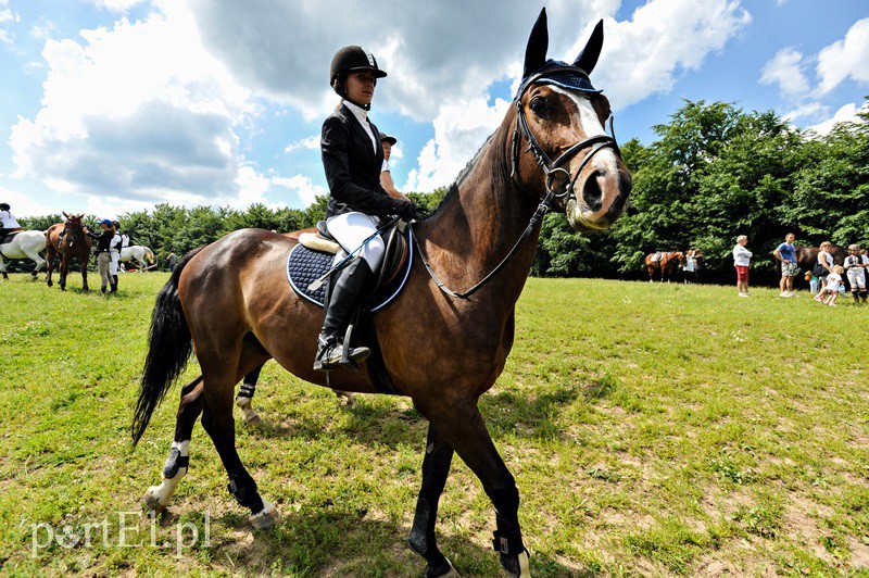 Piastowiada na medal zdjęcie nr 130710