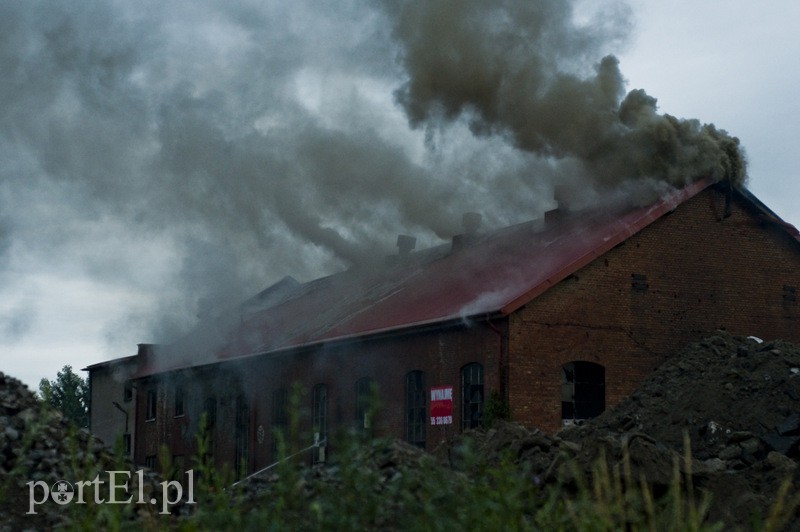 Pożar hali przy Grunwaldzkiej zdjęcie nr 130809