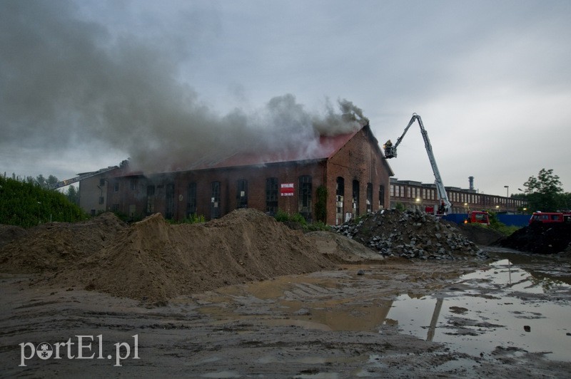Pożar hali przy Grunwaldzkiej zdjęcie nr 130804