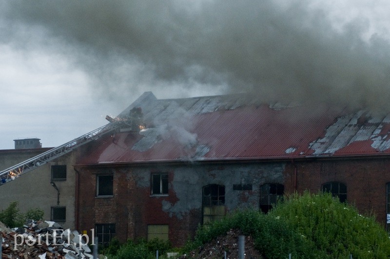 Pożar hali przy Grunwaldzkiej zdjęcie nr 130817