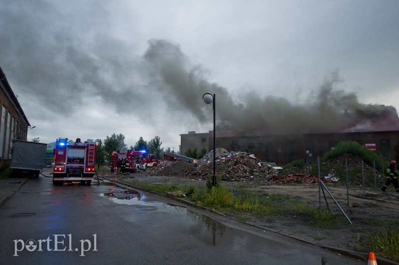 Pożar hali przy Grunwaldzkiej zdjęcie nr 130812