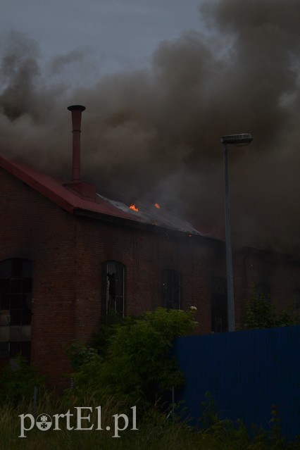 Pożar hali przy Grunwaldzkiej zdjęcie nr 130802