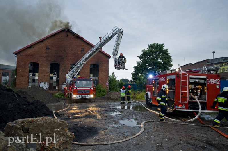 Pożar hali przy Grunwaldzkiej zdjęcie nr 130805