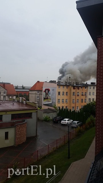 Pożar hali przy Grunwaldzkiej zdjęcie nr 130803