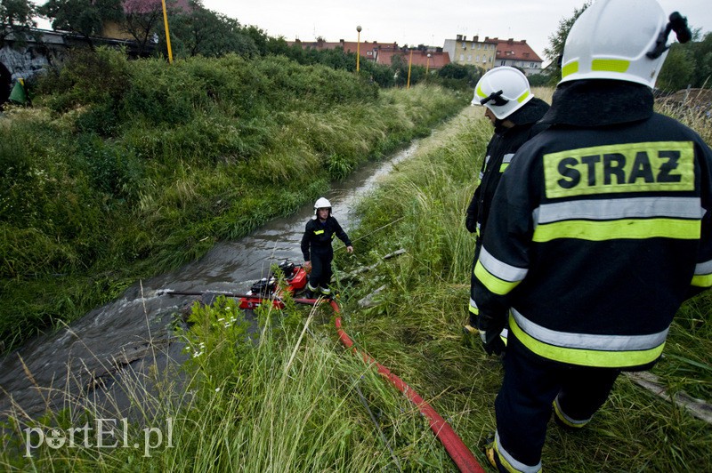 Pożar hali przy Grunwaldzkiej zdjęcie nr 130806