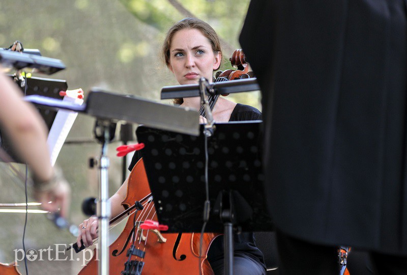 Wiersze i muzyka pod katedrą zdjęcie nr 131623