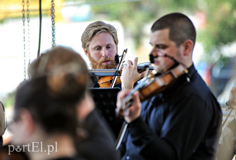 Wiersze i muzyka pod katedrą zdjęcie nr 131629