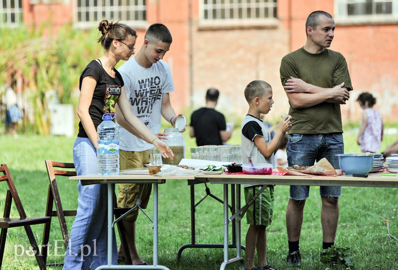 Na trawce przed Galerią zdjęcie nr 131775