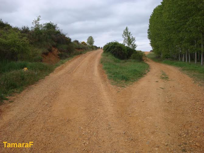 Wędrując Camino, musimy uważnie śledzić znaki, bo łatwo jest zboczyć ze szlaku.